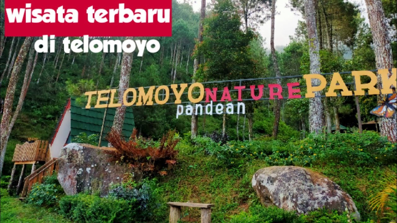 Telomoyo Nature Park: Surga Alam yang Tersembunyi